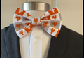 Texas Longhorns Pre-tied Bow Ties