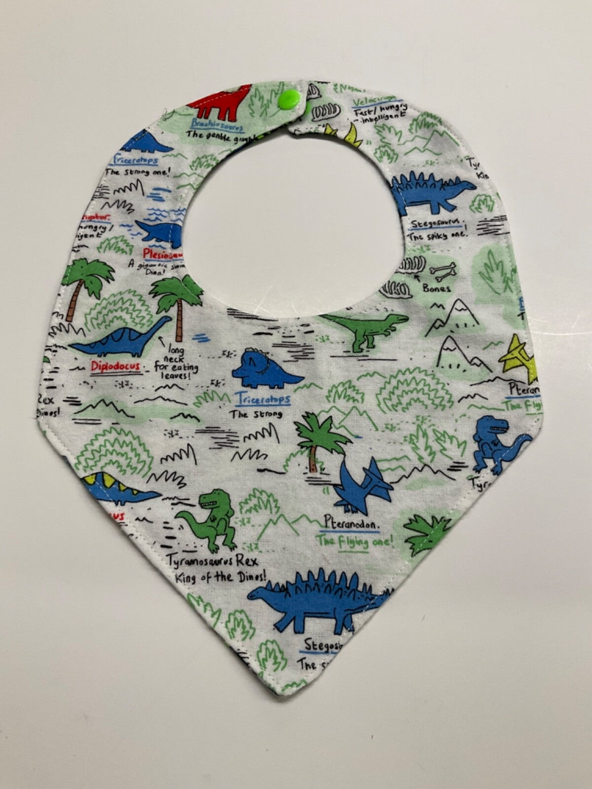 Seattle Seahawks Handmade bib,