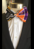 House Devided Steelers and Clemson Bow Tie
