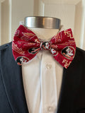 Florida State Seminoles